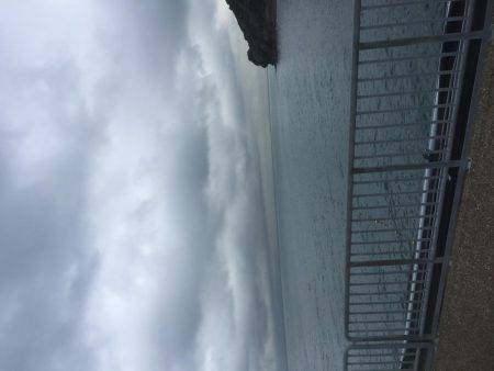 子供とサビキ釣り