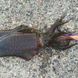 苦戦しましたが…