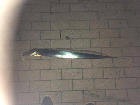 初メーターオーバー