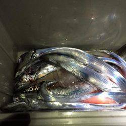 久々のタチウオ釣行！