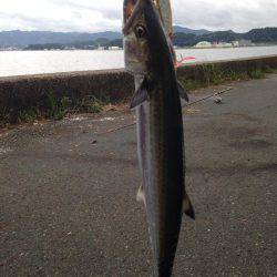 隠れてやがった!