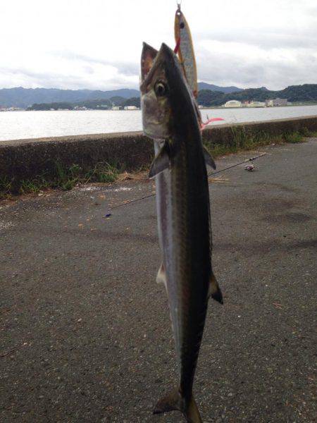 隠れてやがった！