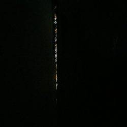 エギングのはずが…