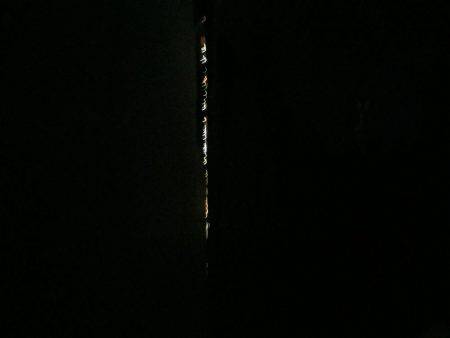 エギングのはずが…