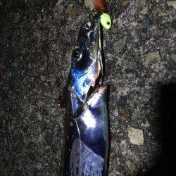 ショアジギング