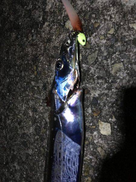 ショアジギング