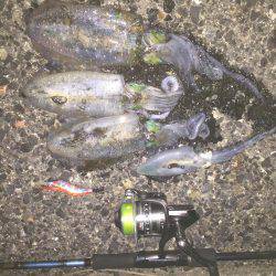 シブかったです