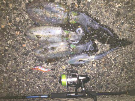 シブかったです