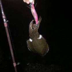 重量感！ん？引かへん！やっぱり・・・