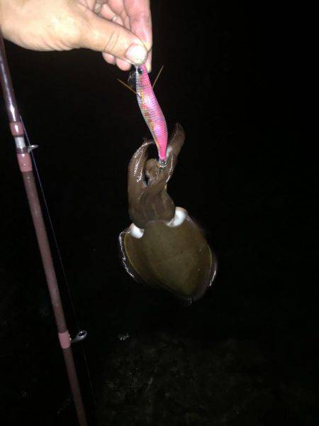 重量感！ん？引かへん！やっぱり・・・