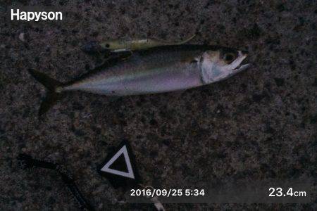 3ダメ、そして熱い言葉