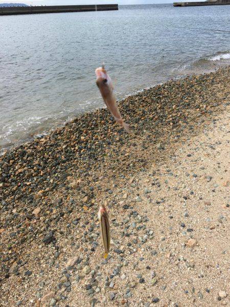 親父とサーフベラ