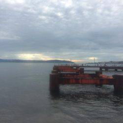 二兎を追うも追いきれず。