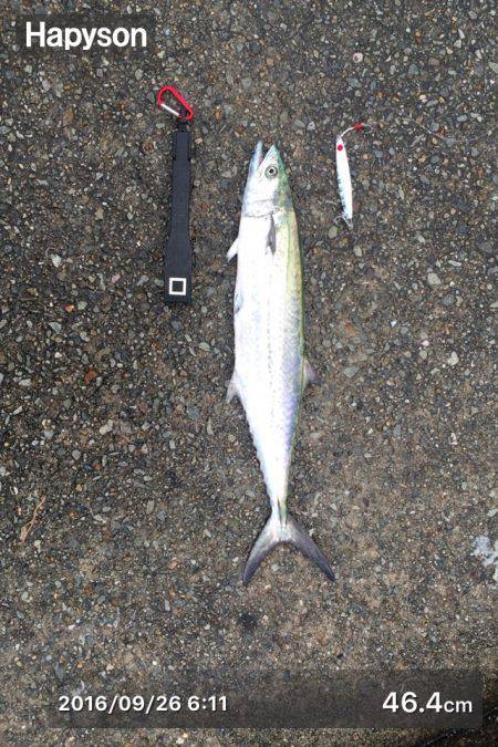 ショアジギング