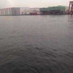 雨やのに、、、