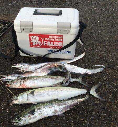 南港周辺で朝練