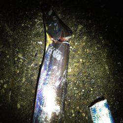 ライトライトライト