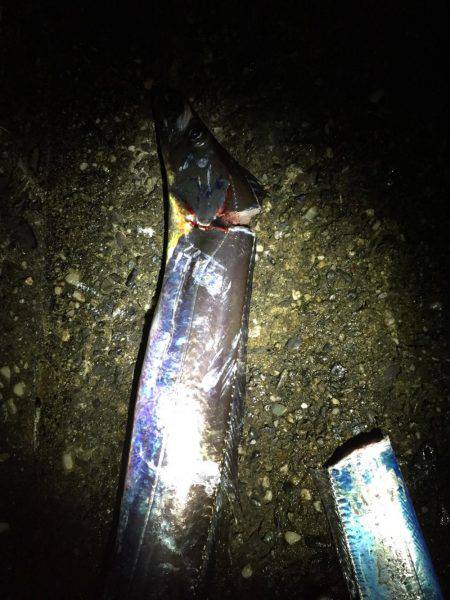 ライトライトライト