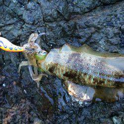 激ウネリエギング