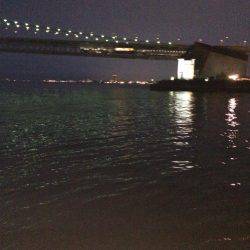 ケンサキ40センチ級を求めて