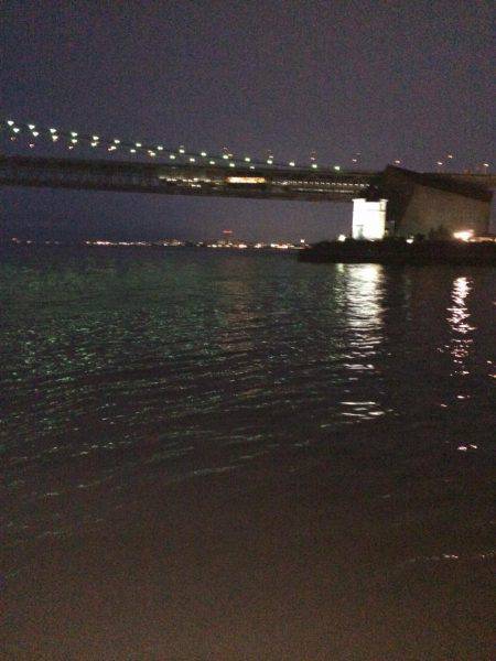 ケンサキ40センチ級を求めて