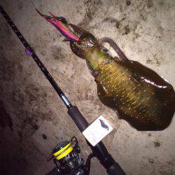 朝マヅメ短時間釣行