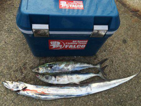 マイポイントで朝練