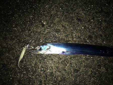 ひさしぶりの遠征