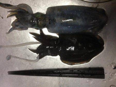 小雨からの大雨