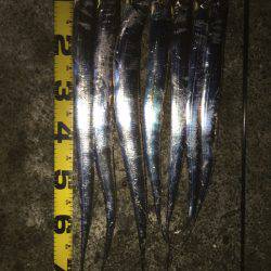 水潮にもマケズ