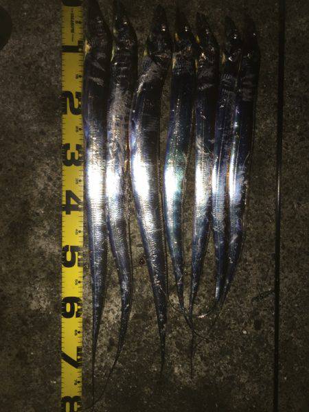 水潮にもマケズ