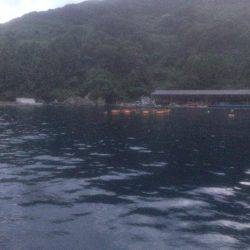 潮早い、雨、くもり