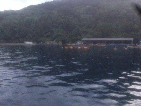 潮早い、雨、くもり