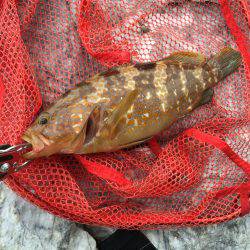 朝まずめと夕まずめ