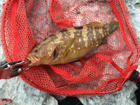 朝まずめと夕まずめ