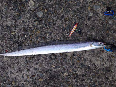 ムコイチ半夜釣行