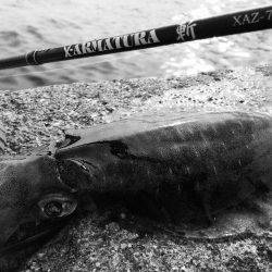 ちょいマシサイズ♬