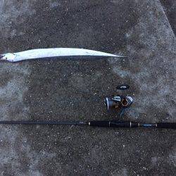 タチウオいいね〜