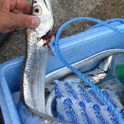 ポーアイ沖にて