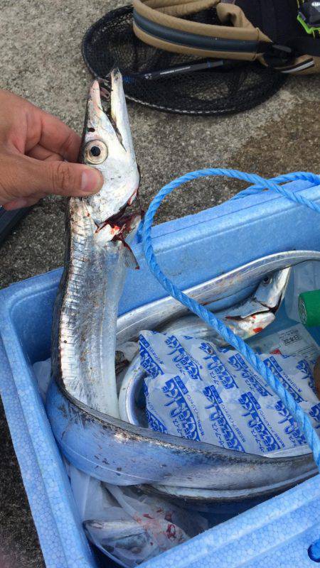 ポーアイ沖にて