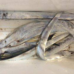 初めての7防釣行