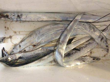 初めての7防釣行