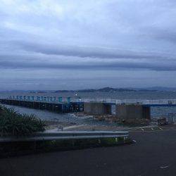 カゴ釣りでチヌ キビレ