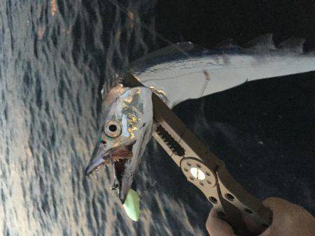 湾奥いよいよ開幕‼️