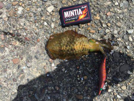 いい感じです。