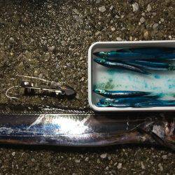 太刀魚ゲッター