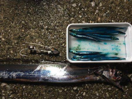 太刀魚ゲッター