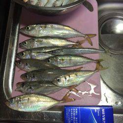 風はあったけど面白かった‼️