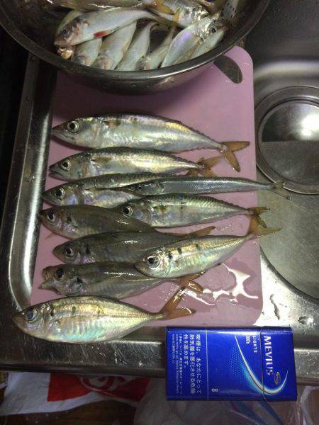 風はあったけど面白かった‼️