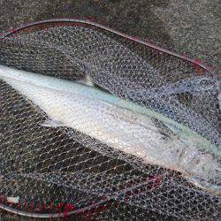 ダブルヘッダー